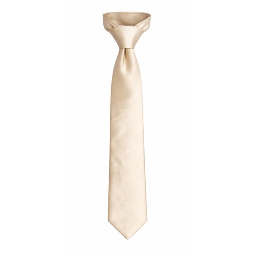 Murano Men's Champagne Prom Solid Narrow Silk Slim Necktie One Size‎ NWT